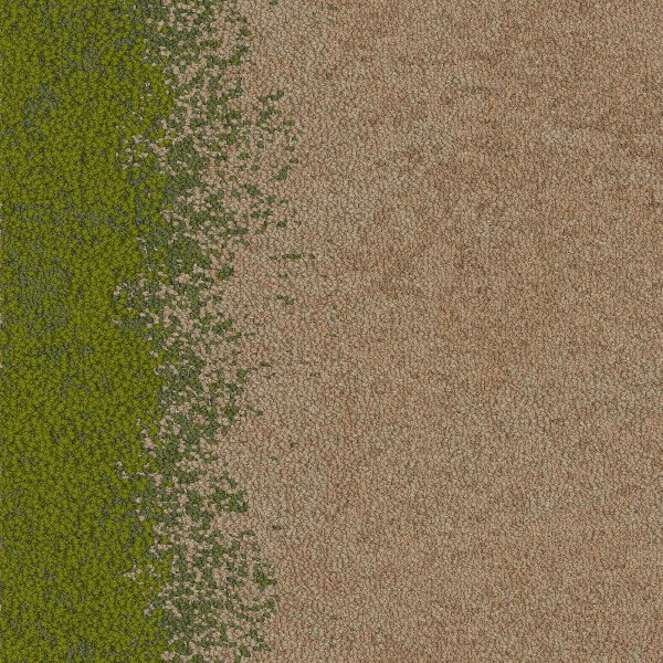 Pattern-Sandstone-And-Meadow