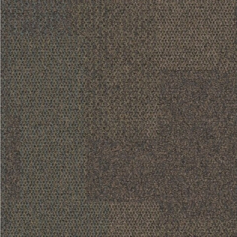 Pattern-Forest-Floor